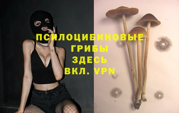мет Богородицк