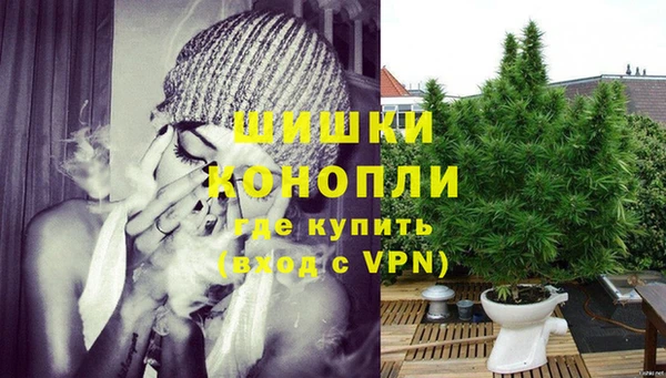 первитин Богородск