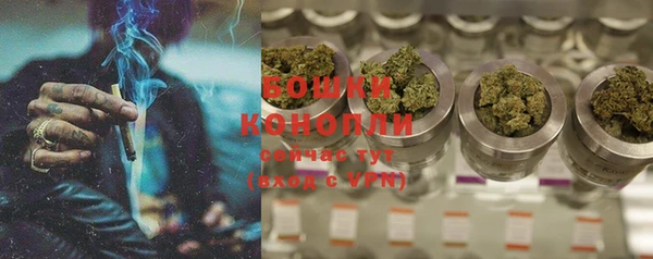 2c-b Белокуриха